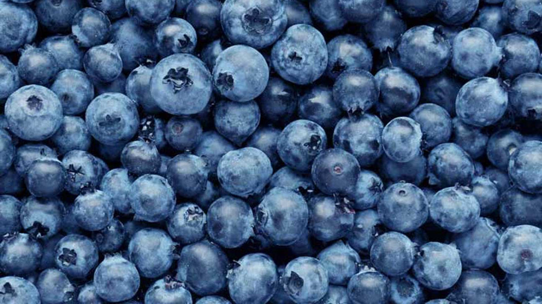 Power fruits Blueberry and Bilberry